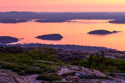 A panorama photo of the sun rising over the calm waters of Frenchman Bay, the coastal town of Bar Harbor, and the wildflowers at the granite summit of Cadillac Mountain in Acadia National Park